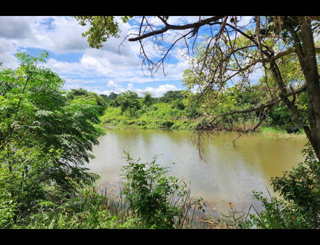 742,854M² FARM FOR SALE IN LEVUBU